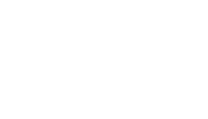 B2B Florida Logo - Knockout